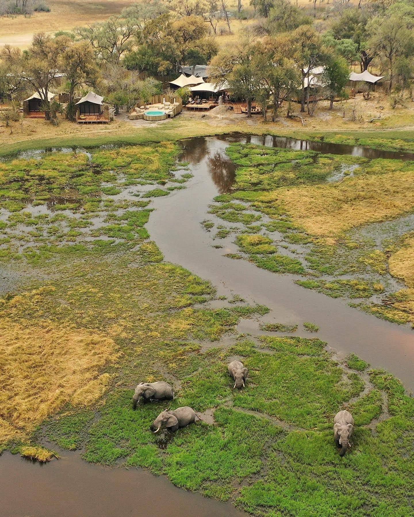 Aerial view of a delta camp